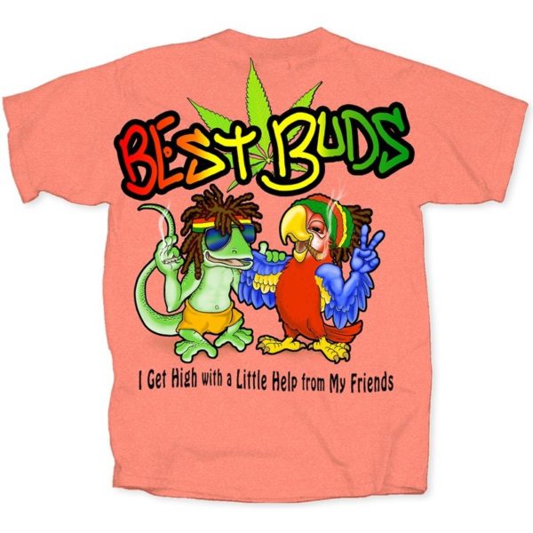 BEST BUDS THE LIZARD & THE PARROT