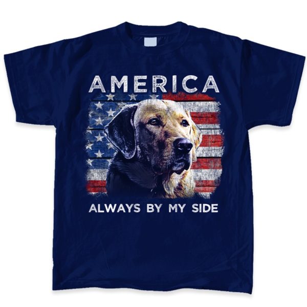 AMERICAN LAB